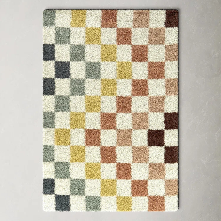 Leonie Florence-Graham Checkered Rainbow Colored Shag Area Rug | AllModern | Wayfair North America