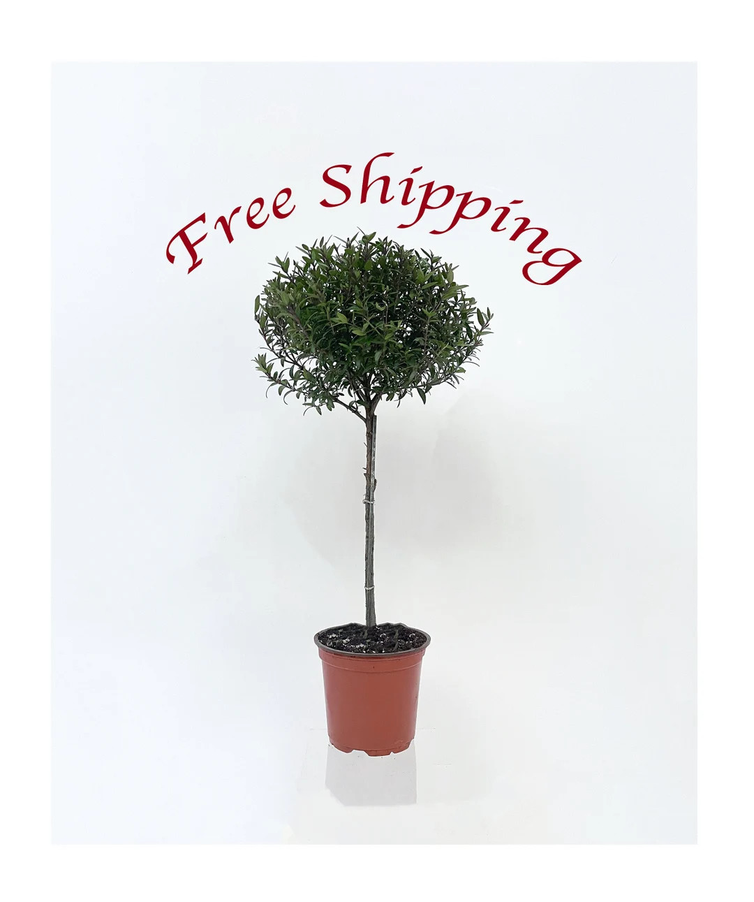 ArtandtheGarden | Etsy (US)