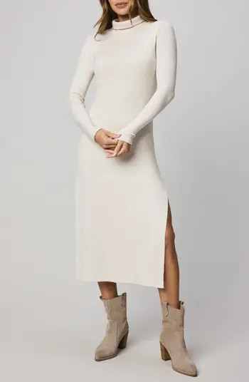 Rylee Turtleneck Long Sleeve Dress | Nordstrom