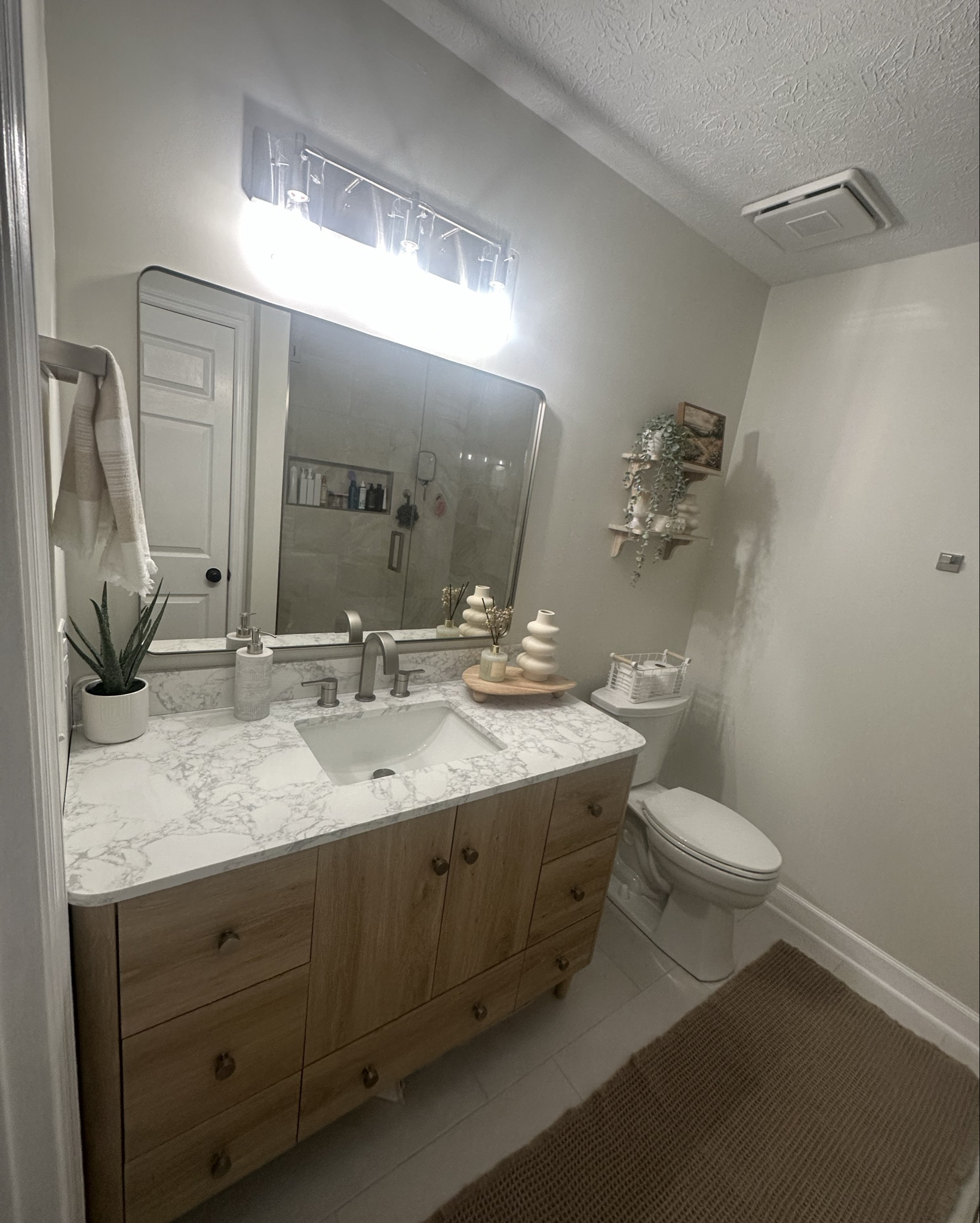 Dream bathroom Reno 🫶🏻

#LTKU #LTKHome #LTKFindsUnder100