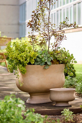Torino Concrete Oval Planter | Terrain