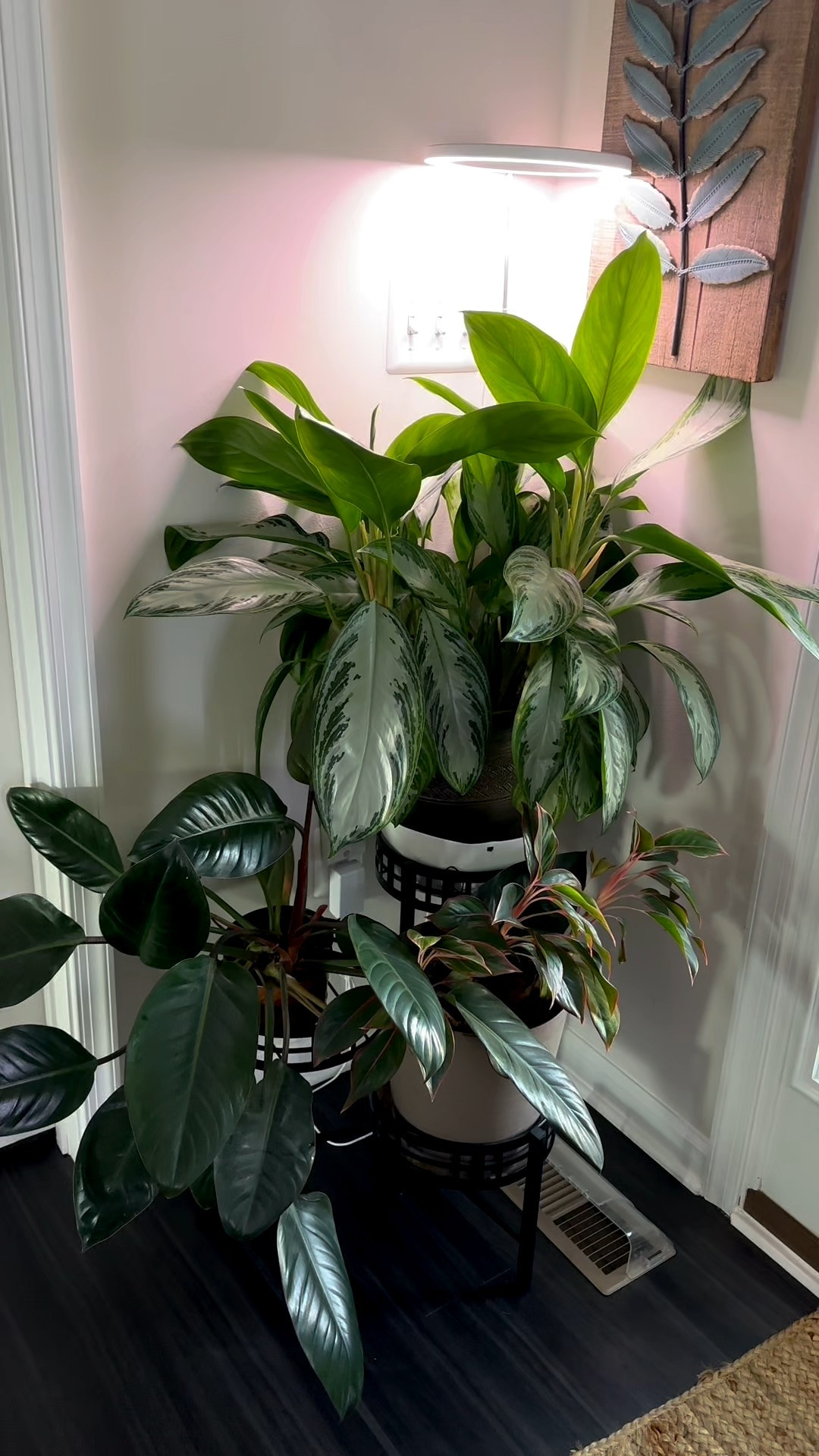 Plant Corner Refresh, use code: HQ34N8EI for additional 10% off!

#LTKstorytime #LTKHome