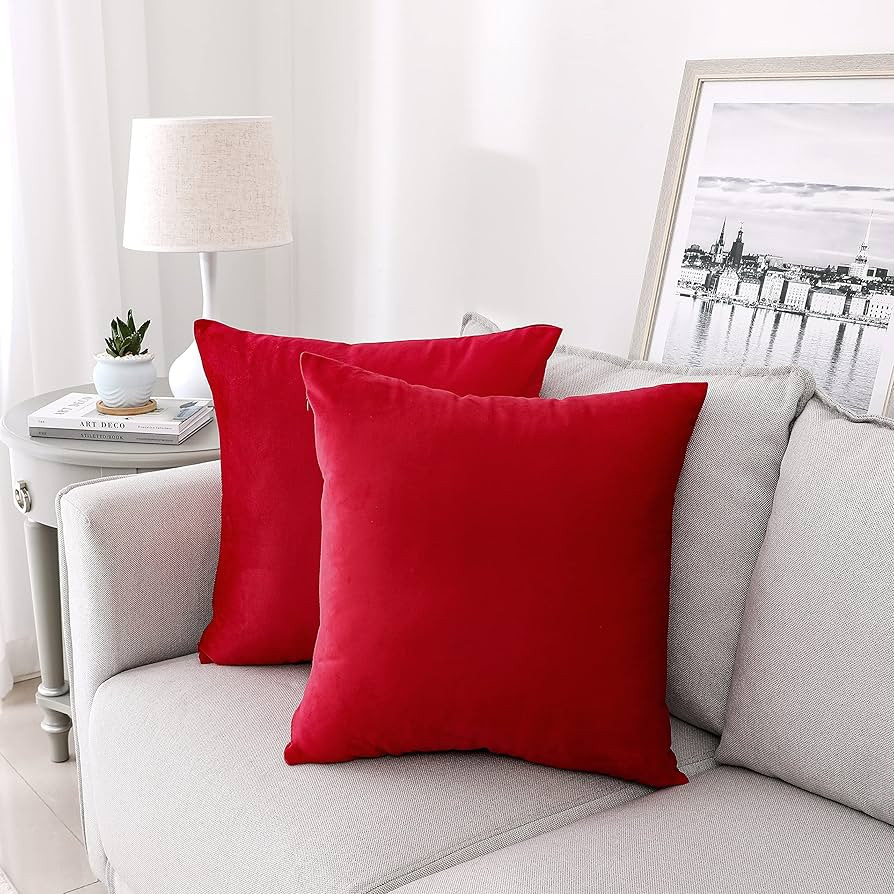NiNi ALL Decorative Throw Pillow Covers Velvet Soft for Couch Sofa Bedroom Living Room Outdoor Pa... | Amazon (US)