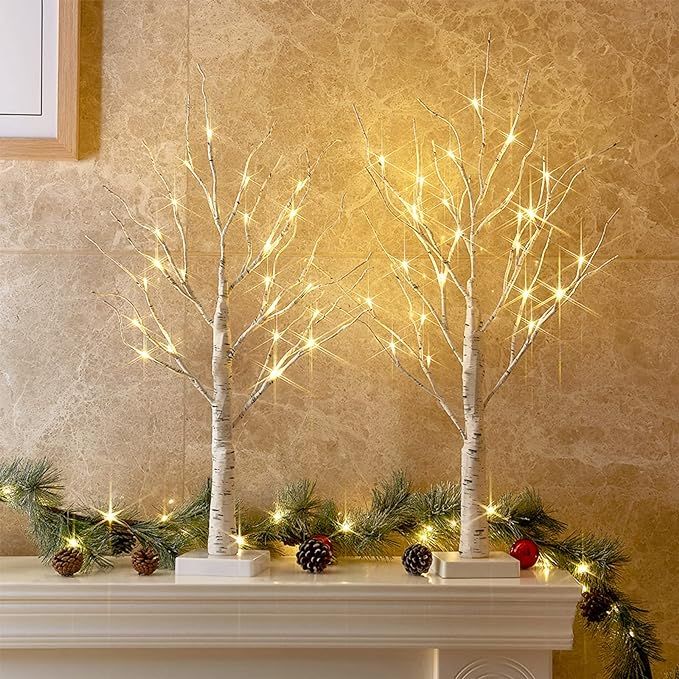 PEIDUO Christmas Decorations, 2FT Birch Tree with LED Lights, Warm White Light up Tree Lamp, Fair... | Amazon (US)