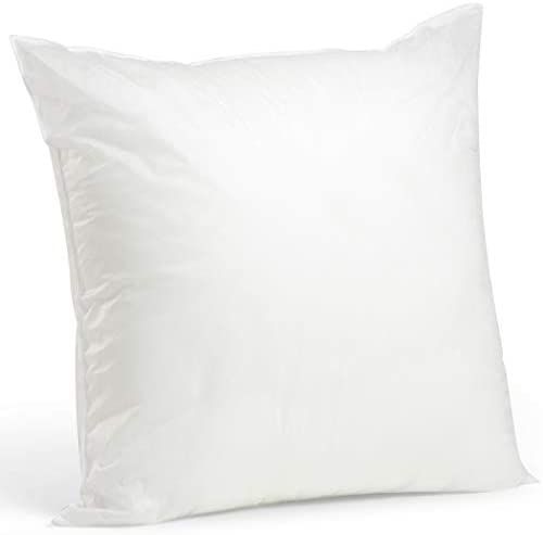 Foamily Throw Pillows Insert 28 x 28 Inches - Bed and Couch Decorative Pillow - Made in USA - Bed... | Amazon (US)
