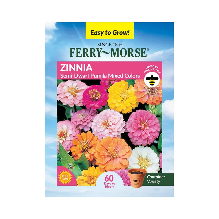 Ferry-Morse 400MG Zinnia Semi Dwarf Pumila Mixed Colors Annual Flower Seeds, Full Sun | Walmart (US)