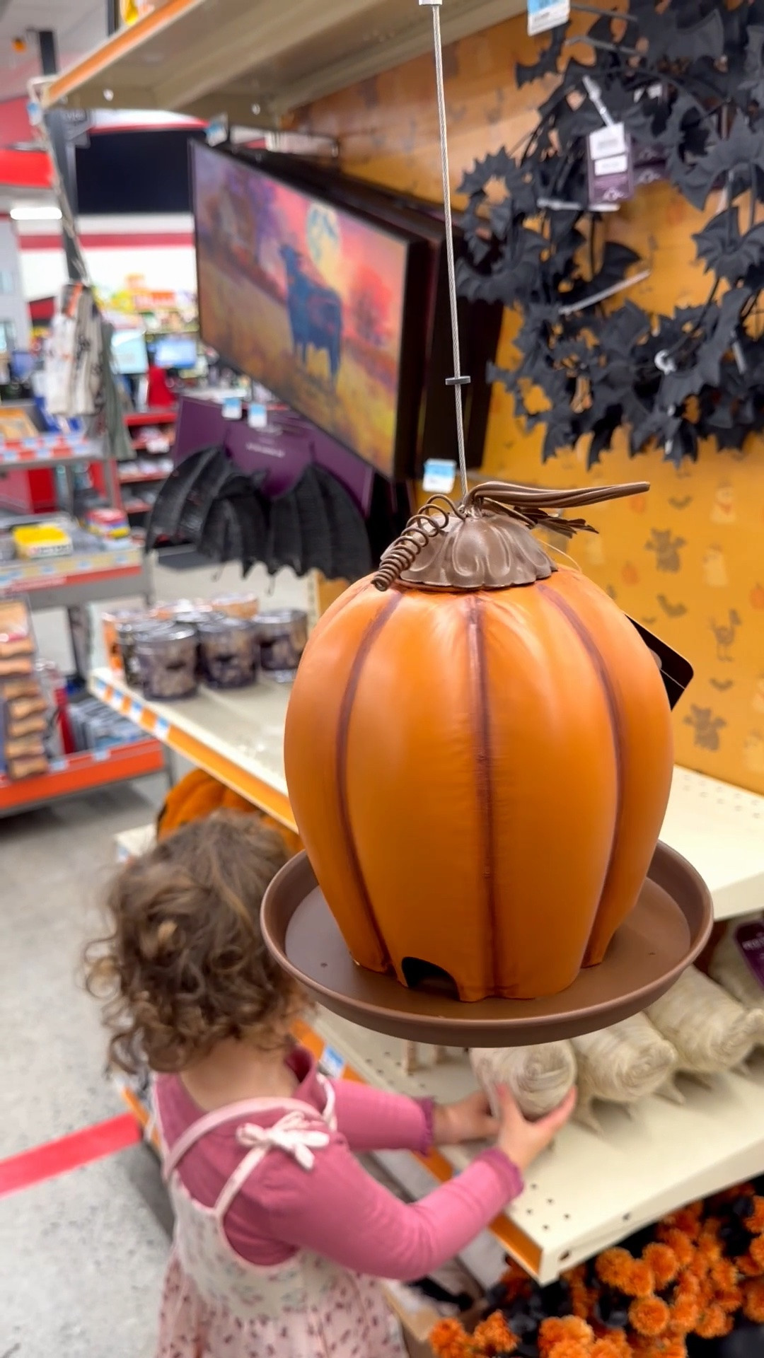 How cute is this pumpkin bird feeder I found at Tractor Supply Store?! Perfect for the fall home decor girlies

#LTKSeasonal #LTKHome
