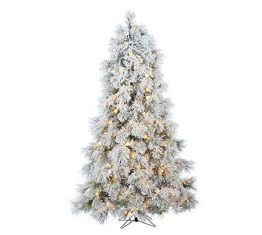 7.5ft Pre-Lit LED Flocked Arctic Pine Artificial Christmas Tree | Pottery Barn (US)