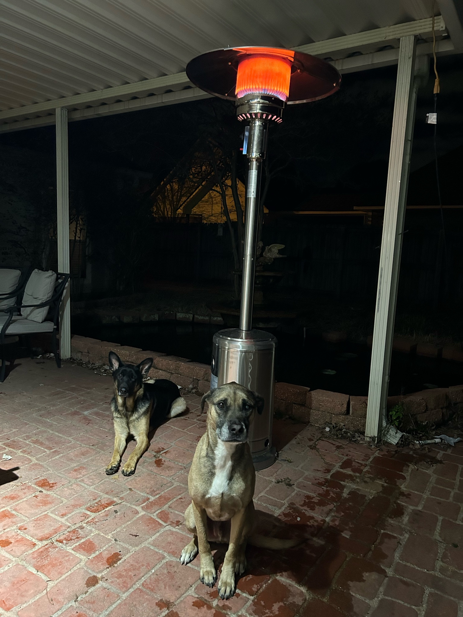 Propane Tower heater on sale! 