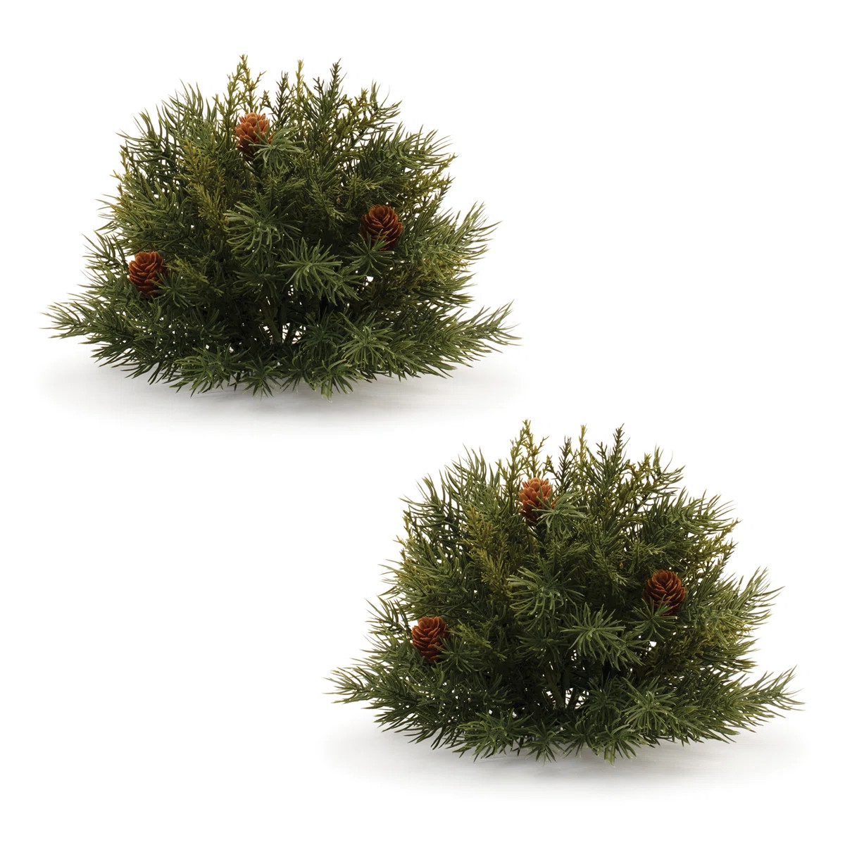 Pine Half Orb with Pinecones (Set of 2) (Set of 2) | Wayfair North America