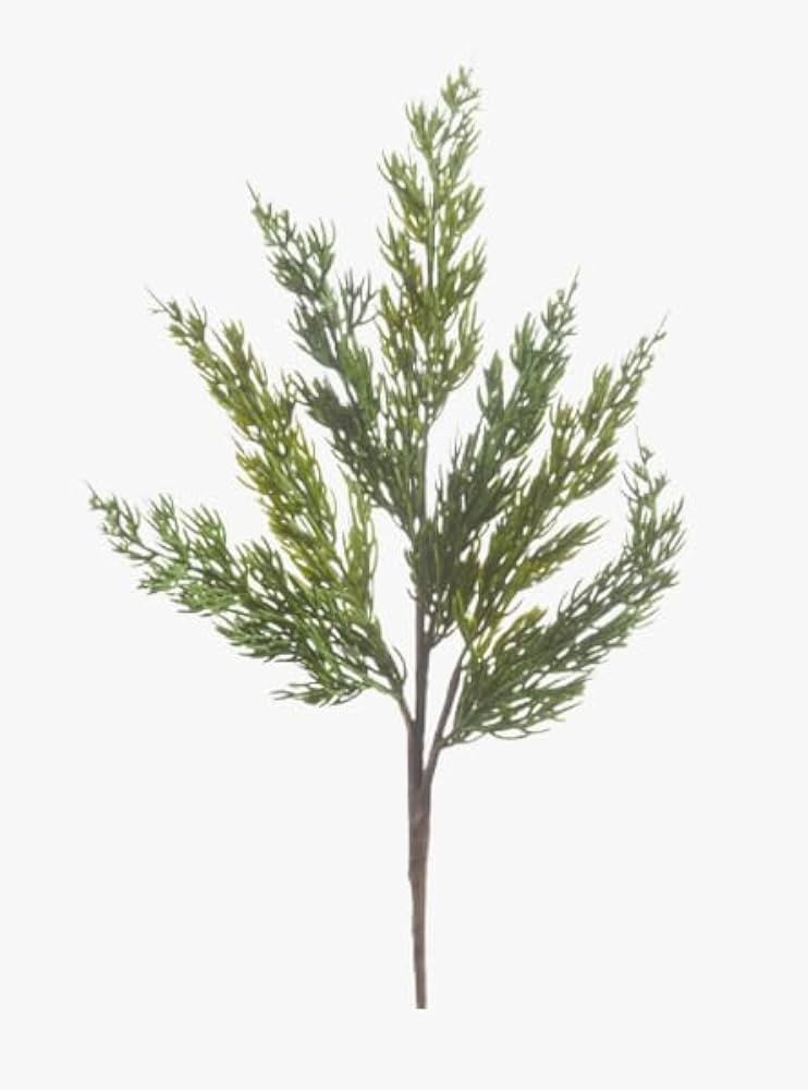 18" Evergreen Branch | Amazon (US)