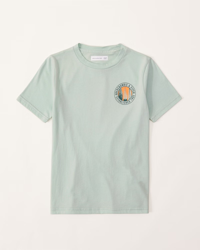 imagery logo graphic tee | Abercrombie & Fitch (US)