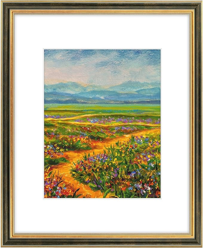 Golden State Art,16x20 Ornate Picture Frame with White Mat for 11x14 Photo or Display 16x20 Print... | Amazon (US)