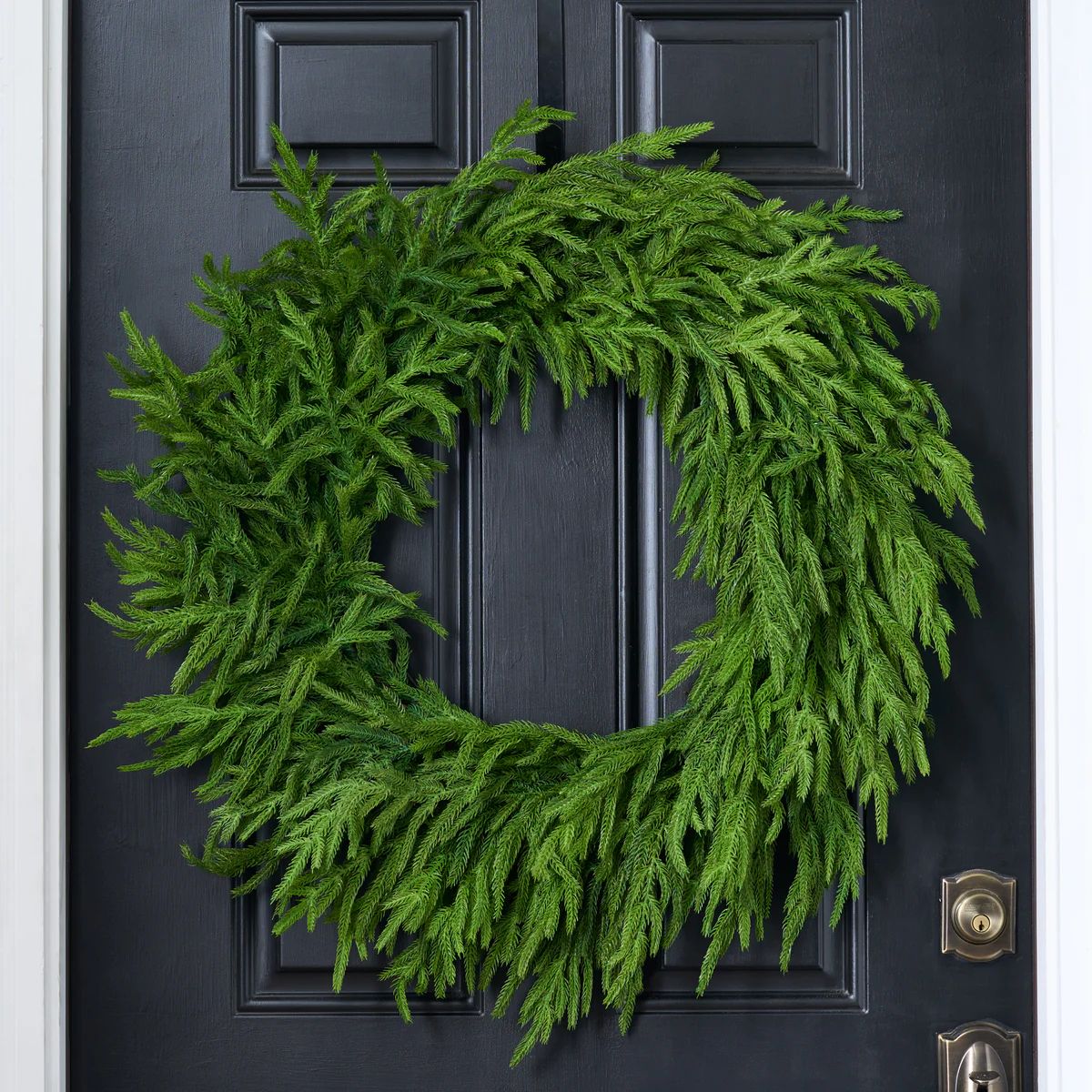 Norfolk Collection - Real Touch Norfolk Pine Front Door Christmas Holiday Winter Wreath - 30" | Darby Creek Trading