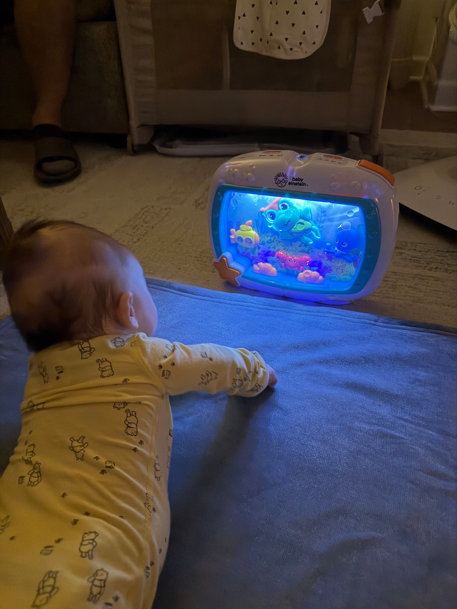 We call this his little “fish TV” 🐠 and it has been such a hit lately.

This Baby Einstein Sea Dreams Soother keeps him completely locked in — the moving fish, soft lights, and music are somehow the perfect combo. It’s one of the only things that consistently holds his attention during wake windows without feeling overstimulating.

If you have a 2–4 month old, this has been one of our most-used baby toys recently. Linking it here 🤍

Baby Einstein Sea Dreams Soother, baby aquarium toy, baby crib aquarium, infant sensory toy, baby toys 3 months, toys for 2 month old, toys for 3 month old, soothing baby toy, baby registry must haves, infant entertainment toy, calming baby toy, newborn to 6 month toys