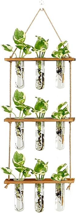 XXXFLOWER Wall Hanging Propagation Station with Wooden Stand Glass Test Tubes Tiered Planters Wal... | Amazon (US)