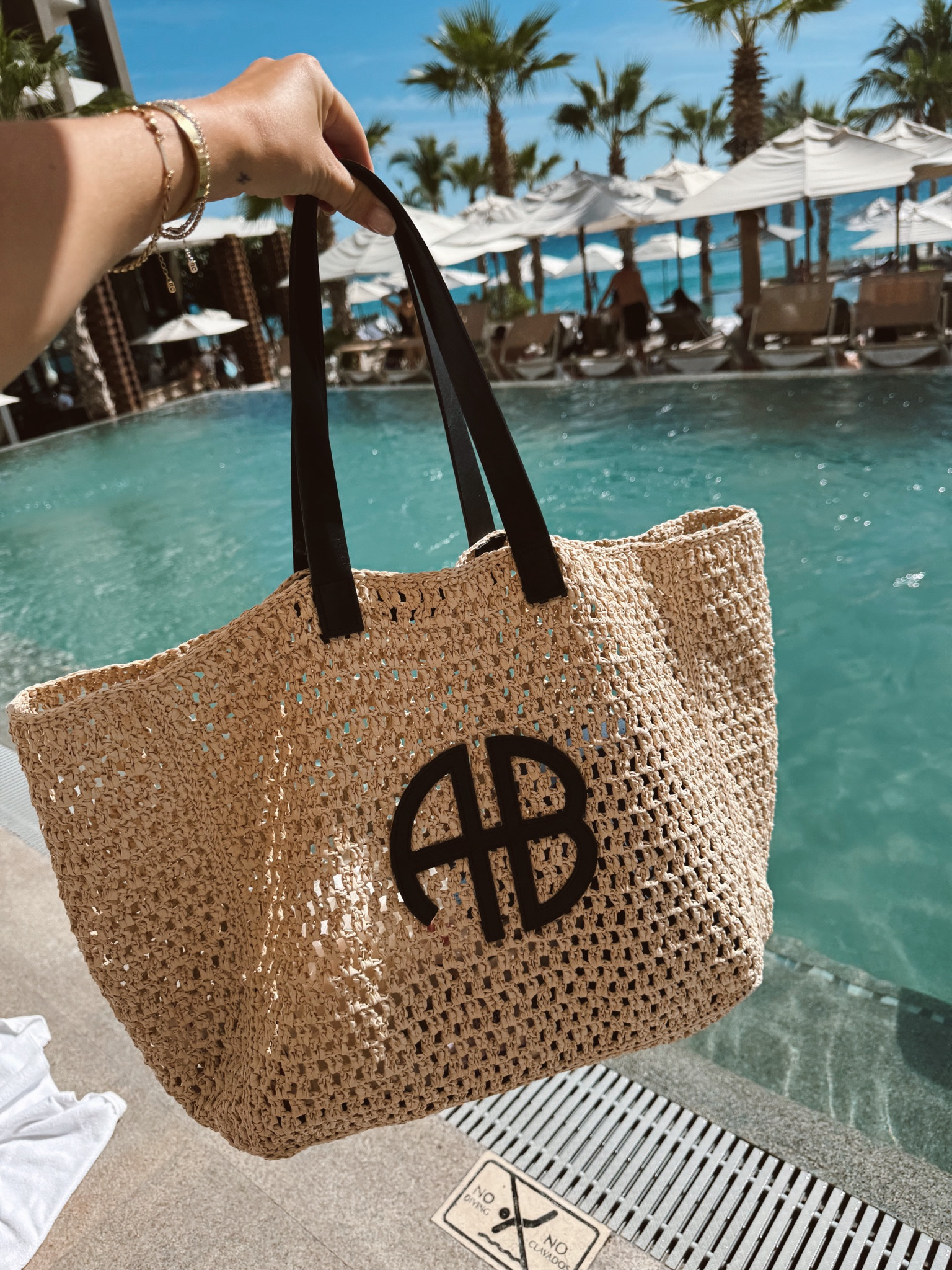 My moms Anine Bing tote is on sale at Shopbop!

#LTKSaleAlert #LTKCyberWeek