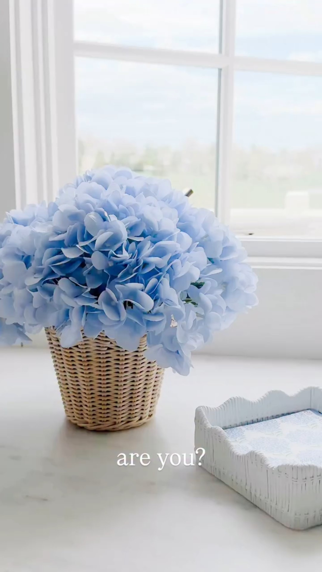 Love hydrangea? I guess you can say I’m a little obsessed. Are you?