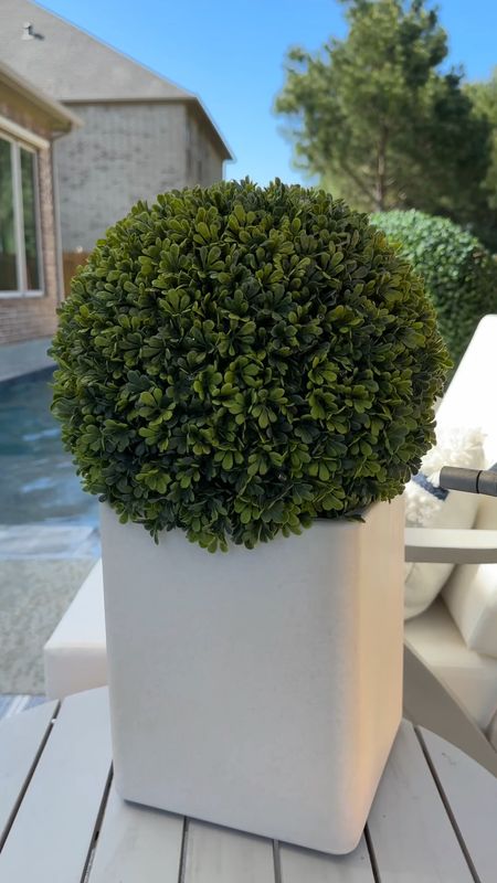 The cutest faux outdoor topiary from Walmart with twinkle lights! Outdoor decor, outdoor faux plants, outdoor living, patio decor, backyard decor. 

#LTKstyletip #LTKunder50 #LTKhome