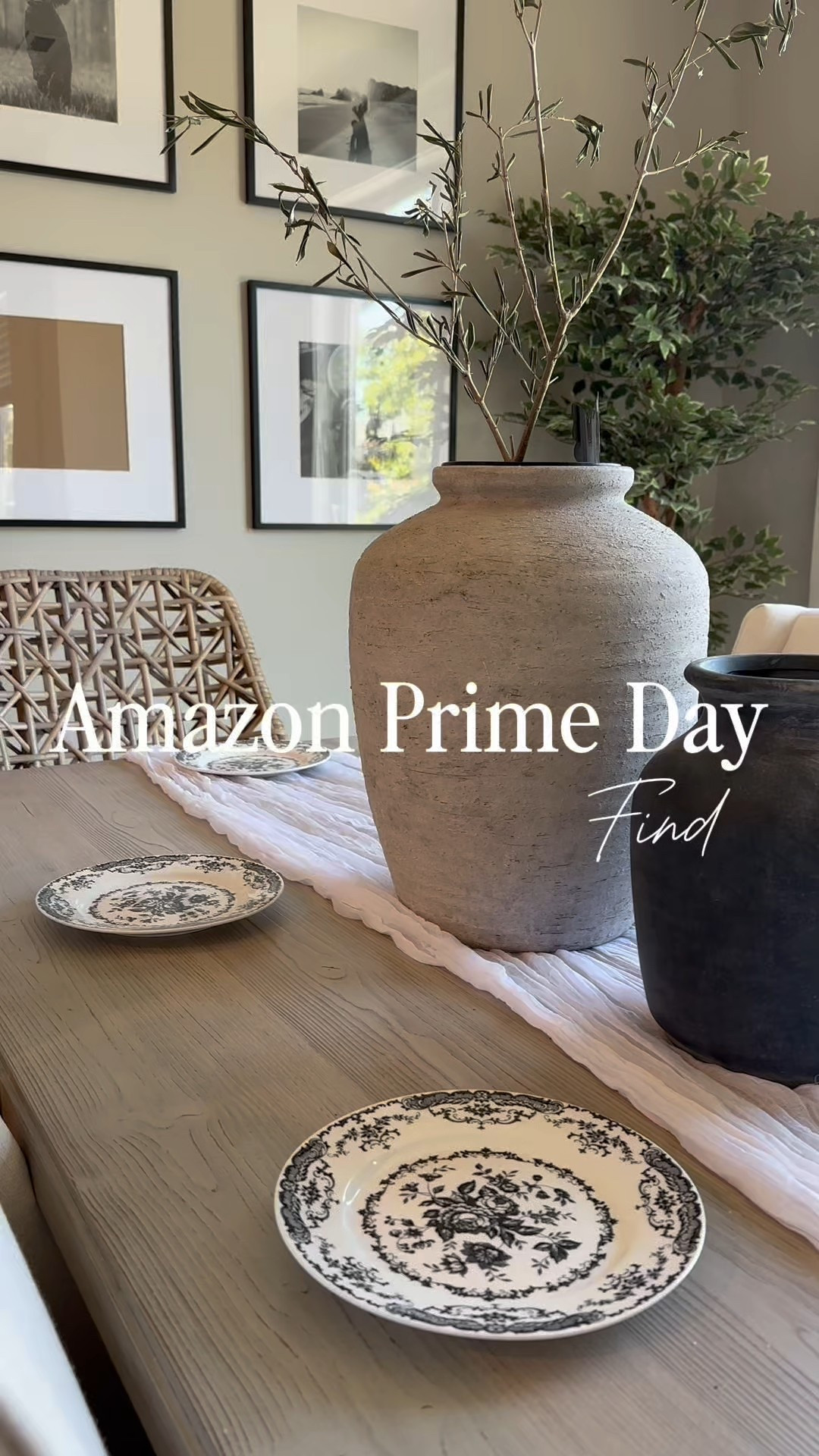 Amazon Prime Day steal! 🌸 These vintage floral plates are the perfect touch for your dining table. Obsessed with the detail and elegance! ✨ Linked down below!

#LTKSaleAlert #LTKFindsUnder50 #LTKHome