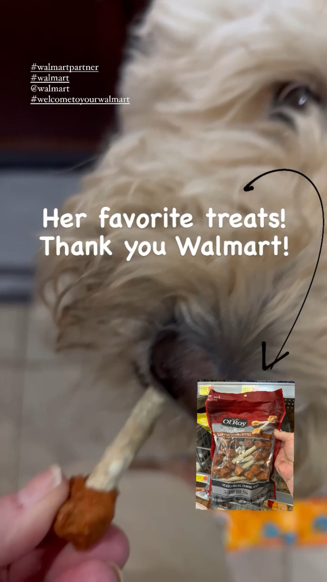 Milk bone soft 2024 and chewy walmart