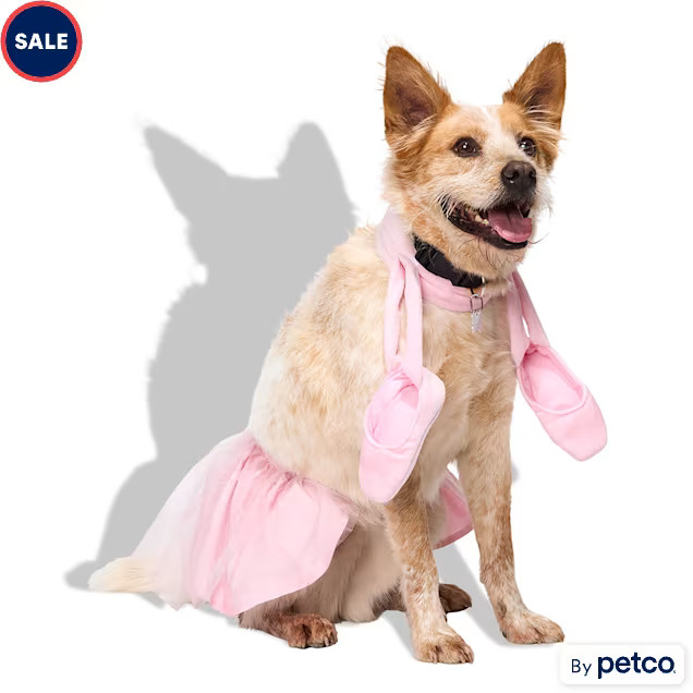Bootique Ballerina 2-Piece Dog Halloween Costume, Small/Medium | Petco