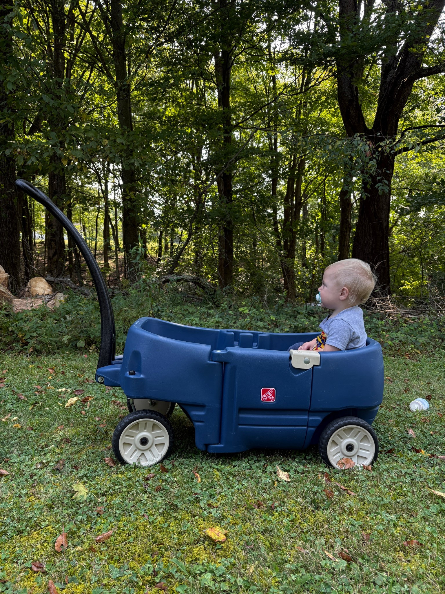 Our favorite wagon with 2 toddlers!! The boys love going for walks and being able to pick stuff up themselves!!! We started using around 6 months & now we have a 2 1/2 yr old and an 11 month old!! A daily use product for sure! 

#LTKBaby #LTKKids #LTKFamily