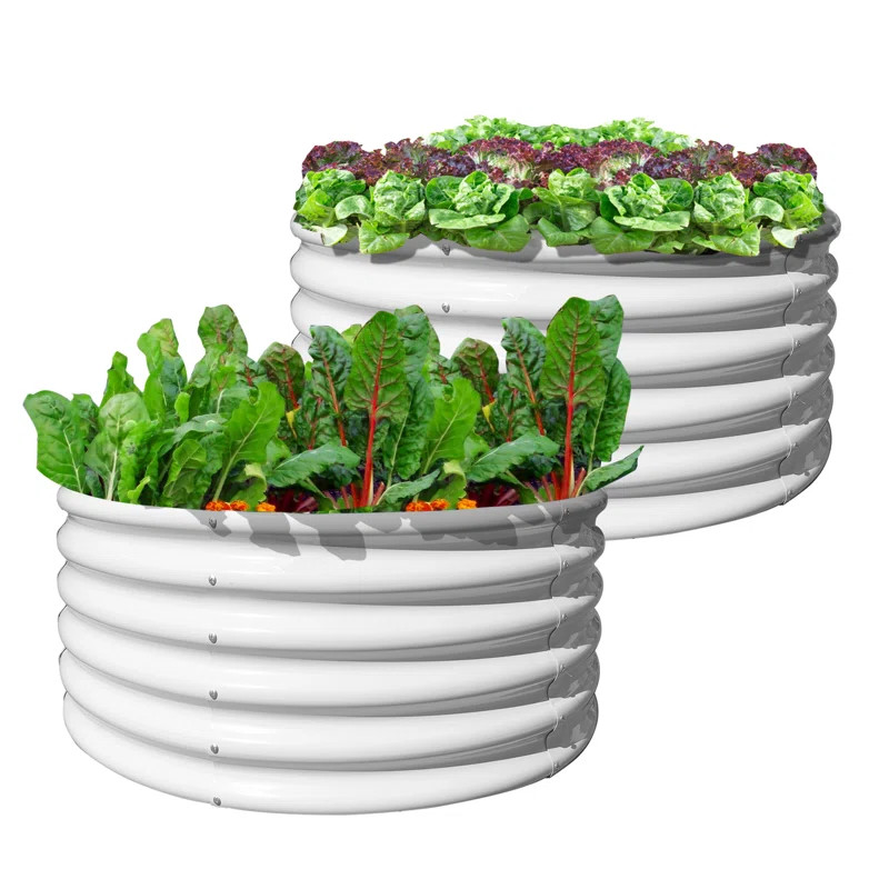 Arlmont & Co. Patson 2 pack 4ftx4ftX1.5ft Round Galvanized Raised Garden Bed & Reviews | Wayfair | Wayfair North America