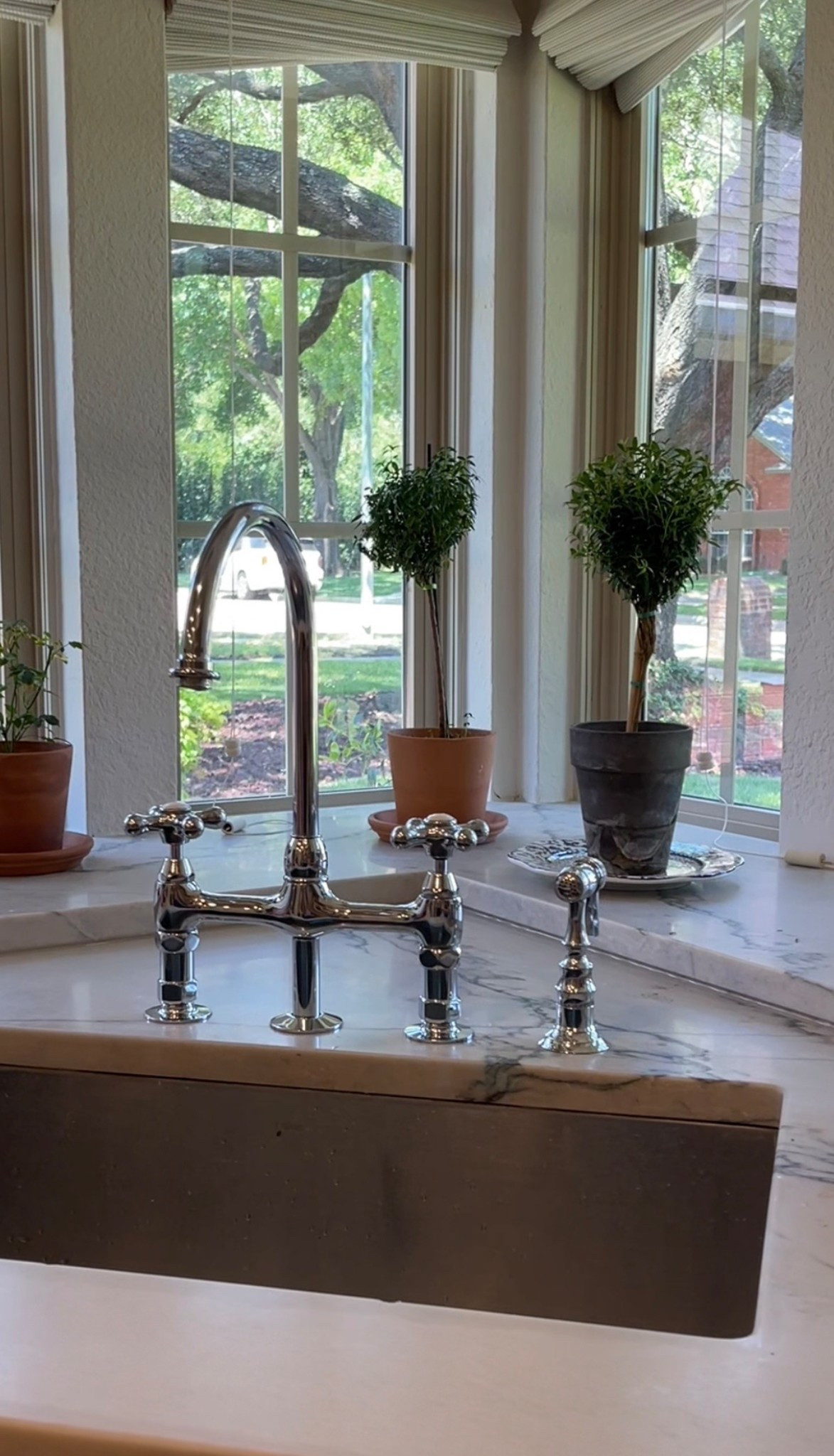 Myrtle topiaries linked! 

#LTKFindsUnder50 #LTKHome