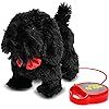 MEVA PawPals Kids Walking and Barking Puppy Dog Toy Pet with Remote Control Leash … (Black) | Amazon (US)