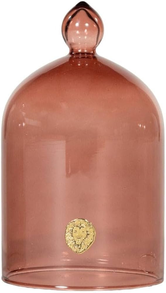 Alice Lane Glass Cloche \u2013 Glass Dome Display Case for Home Decor, Centerpieces, Candles, Kee... | Amazon (US)