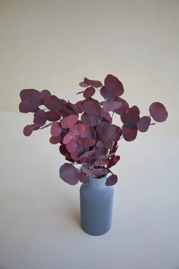 Mini Silver Dollar Eucalyptus Preserved  Dried Eucalyptus - Etsy | Etsy (US)