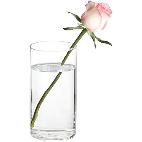 Floral Supply Online - 7.5" Tall x 3.5" Wide Cylinder Glass Vase and Flower Guide Booklet -for We... | Amazon (US)