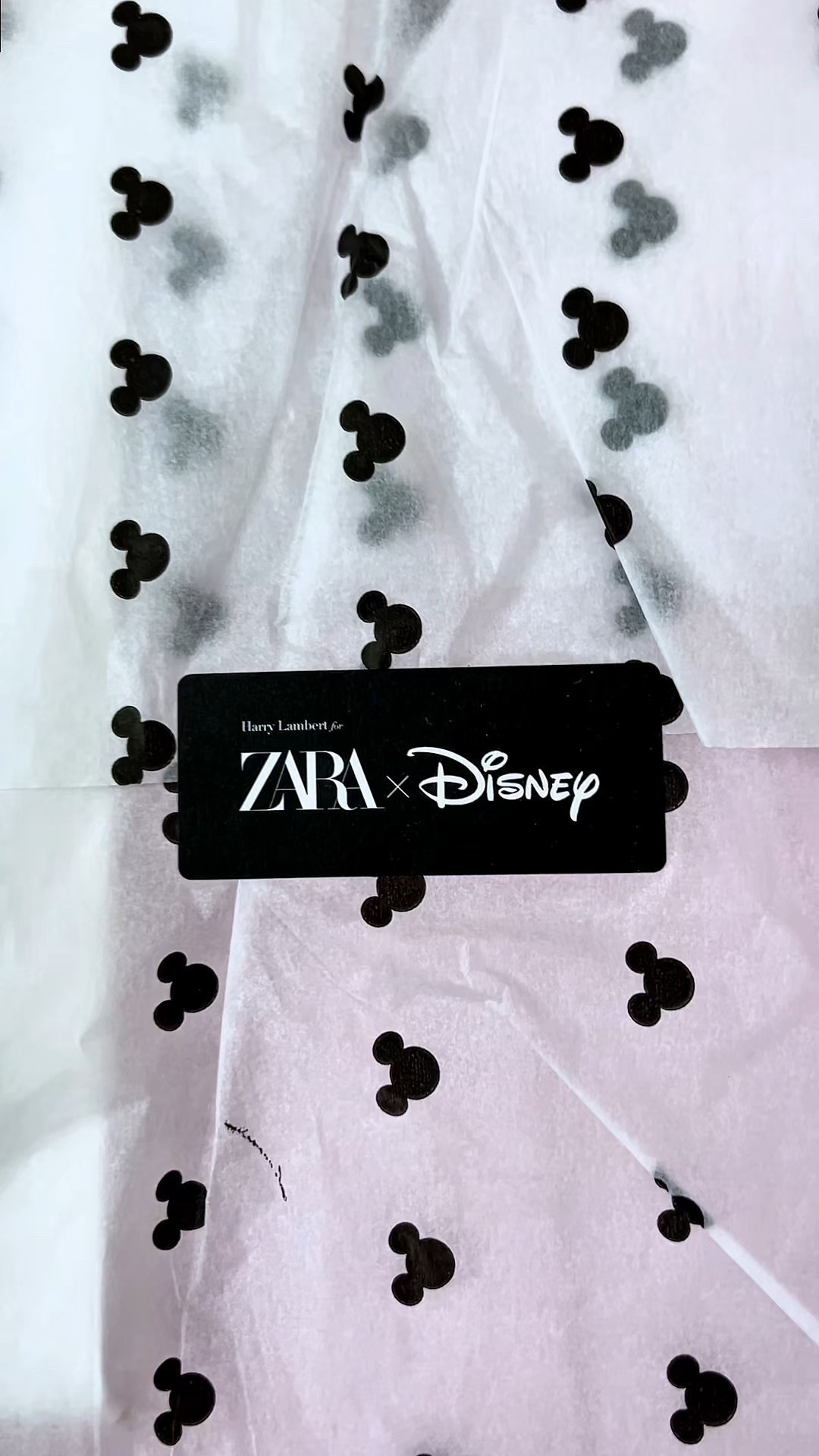 Zara X Disbeg Haul #disney #disneystyle #zara 