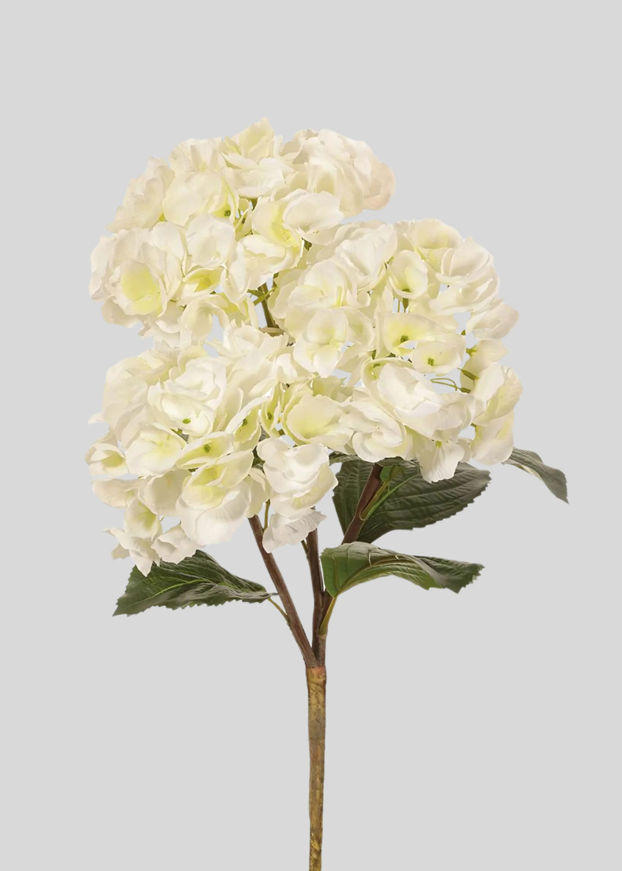 Large Hydrangea in Cream White | Faux Wedding Flowers | Afloral | Afloral