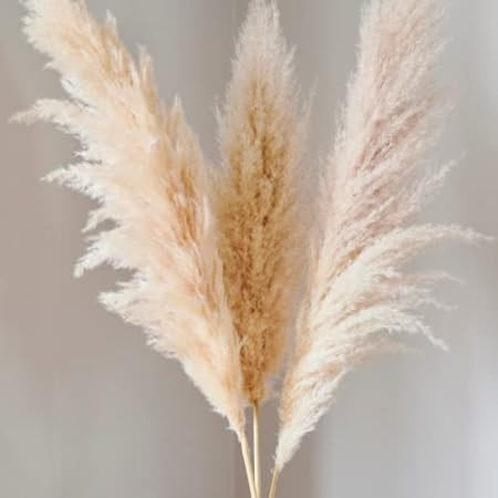 Amazon.com: Natural Pampas Grass Bouquet | 70 Pcs - Bulk Pampas Grass Decor for Events Wedding -Pomp | Amazon (US)