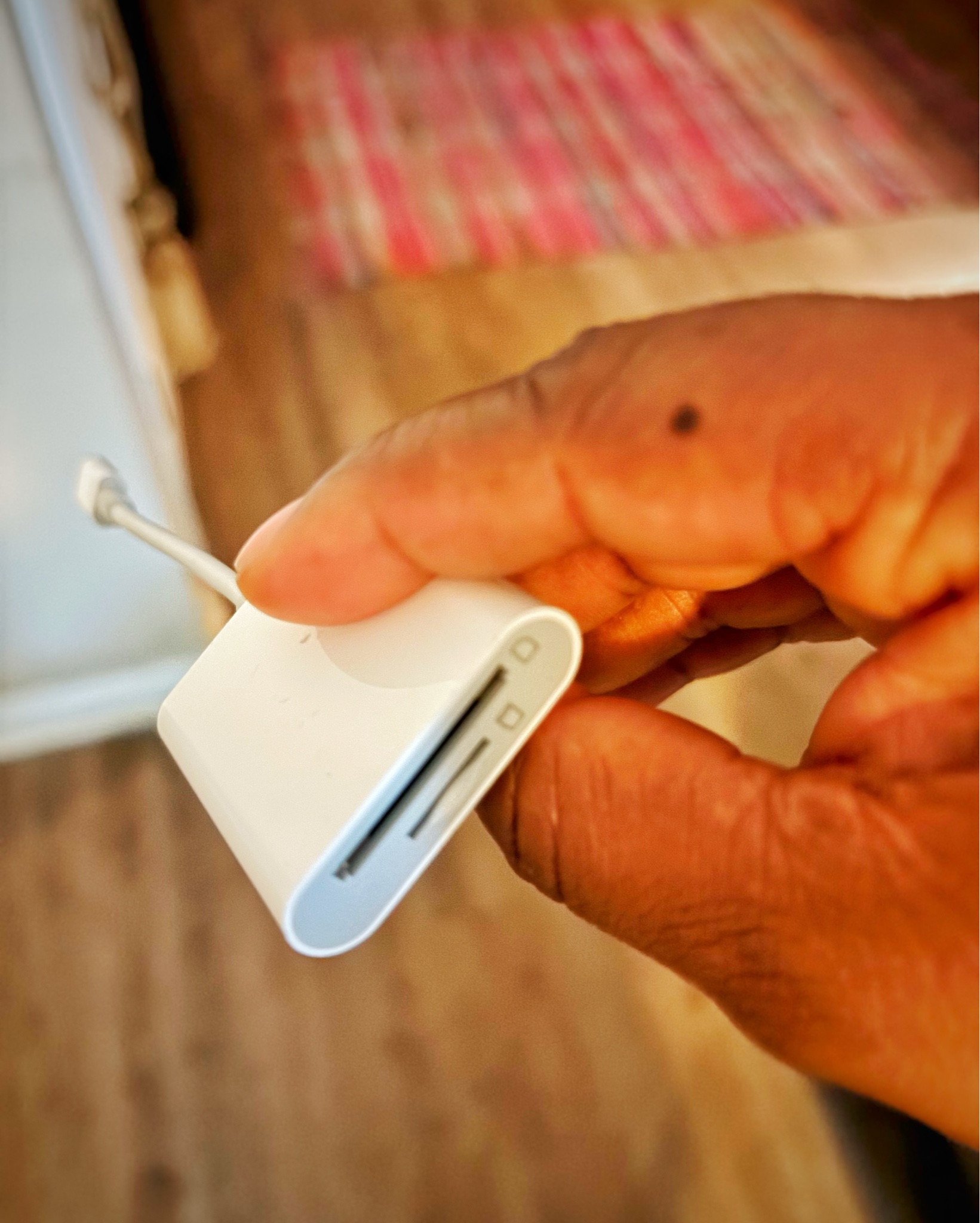 My content creator must haves

#LTKPlusSize #LTKOver40 #LTKFindsUnder50