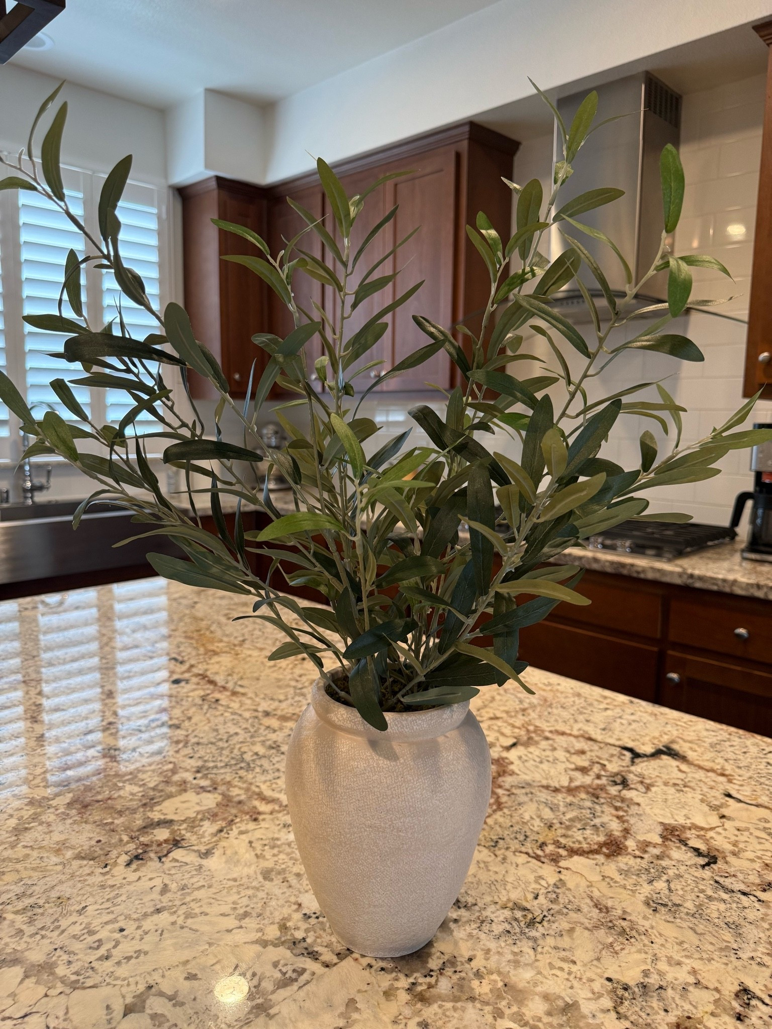 This plant is such a beauty on our island! In love with it! This is the large size and I also own the small size!

#LTKHome