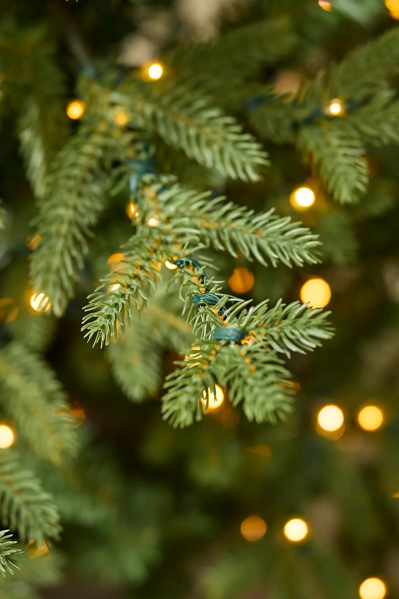 Faux Twinkling Pre-Lit Potted Norway Spruce, 4’ | Terrain