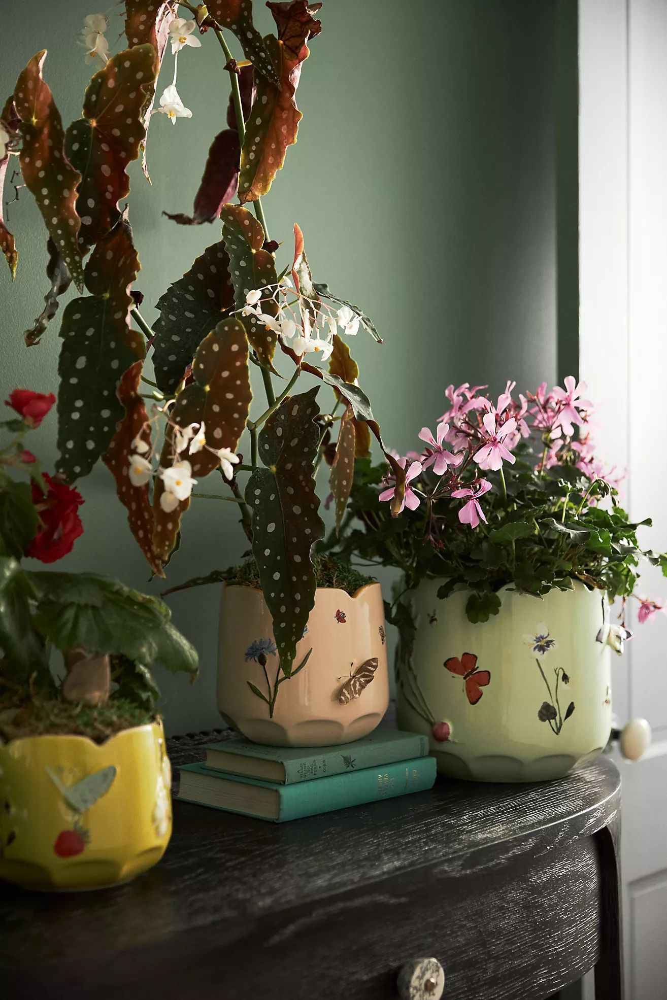 Faye Planter | Anthropologie (US)