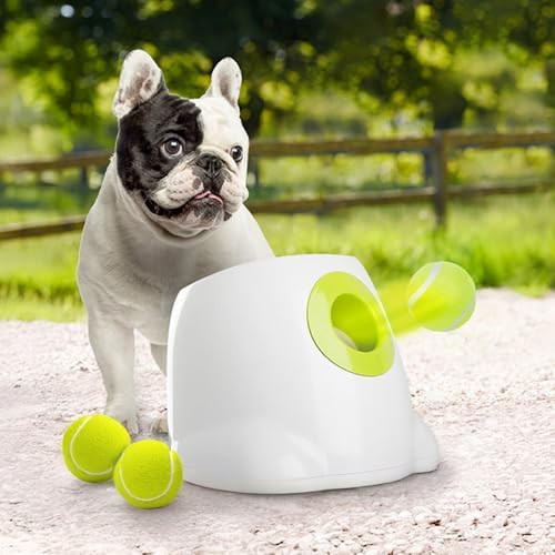 ALL FOR PAWS Original Dog Automatic Ball Launcher for Small and Medium Dogs, Interactive Dog Tenn... | Amazon (US)