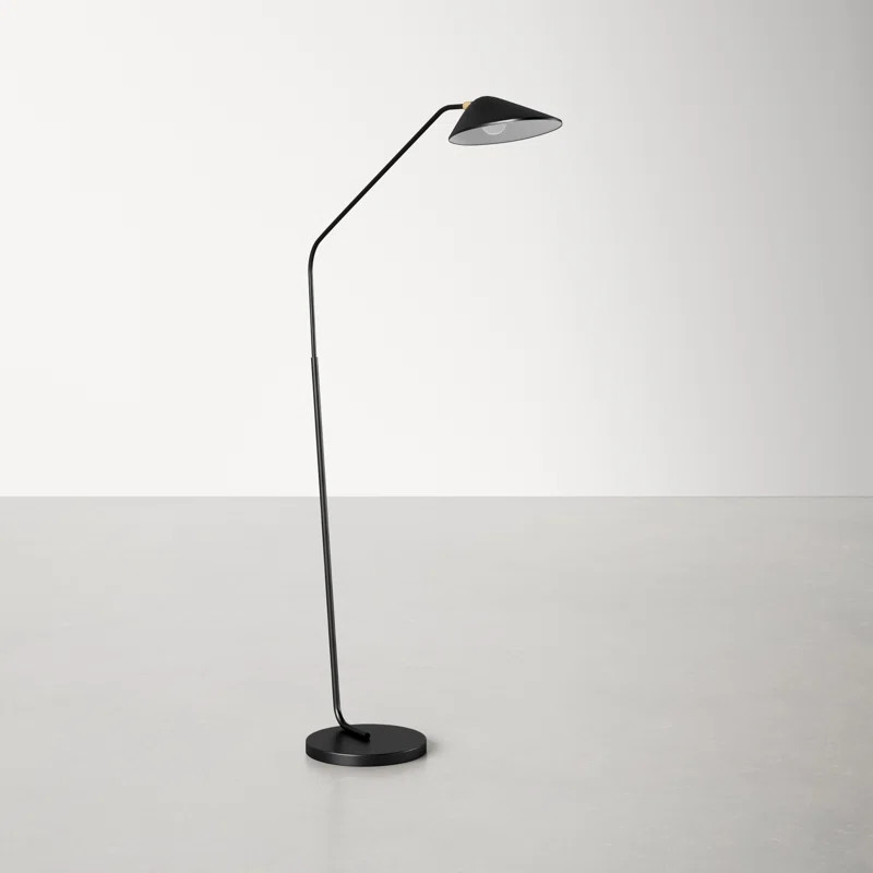 Ramel 66.5'' Black Task/Reading Floor Lamp | Wayfair North America