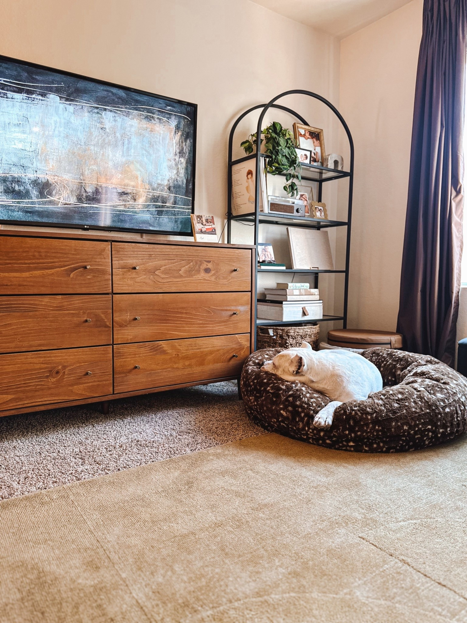 Cozy pup 🐾