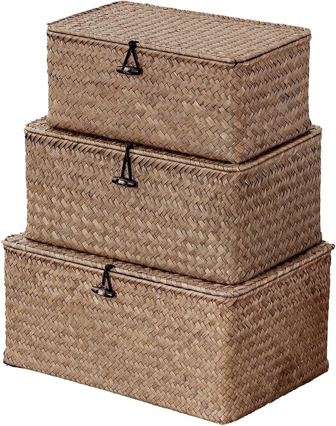Nonam Seagrass Storage Baskets with Lid Set of 3,Wicker Basket Storage Bin for Shelves,Rectangula... | Amazon (US)