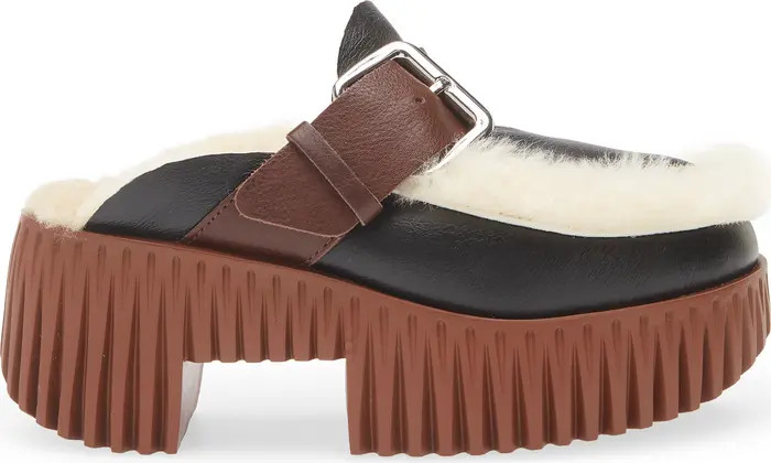 Plia Amber Genuine Shearling Platform Clog (Women) | Nordstrom