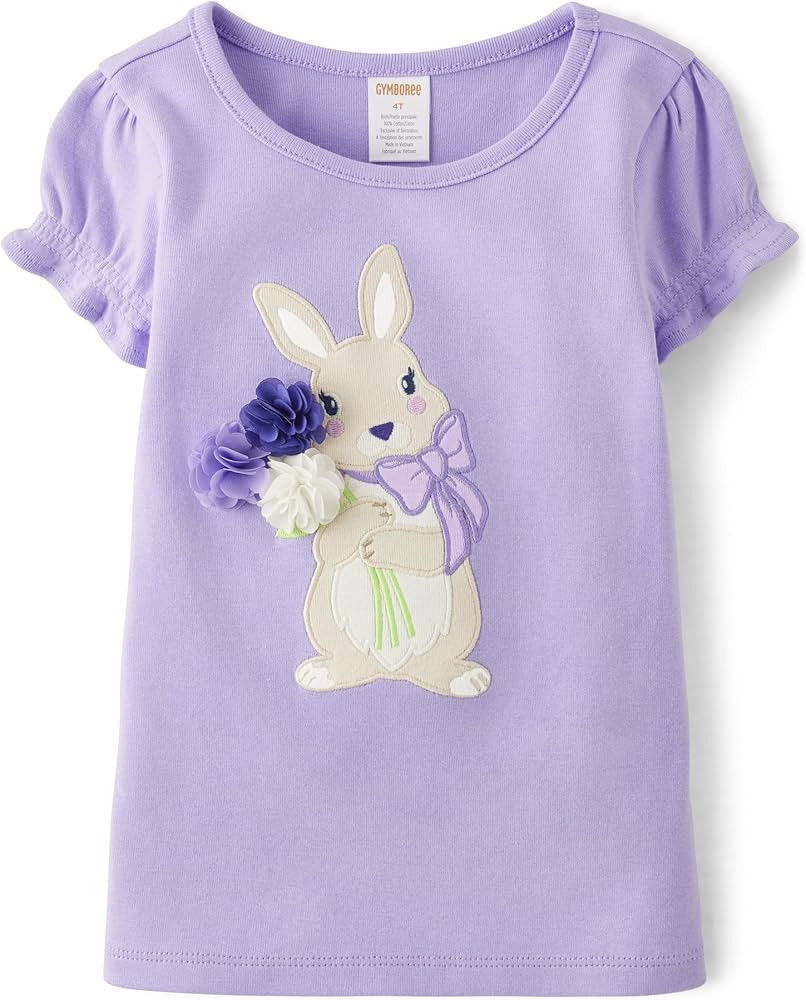 Gymboree Girls' and Toddler Embroidered Graphic Short Sleeve T-Shirts | Amazon (US)