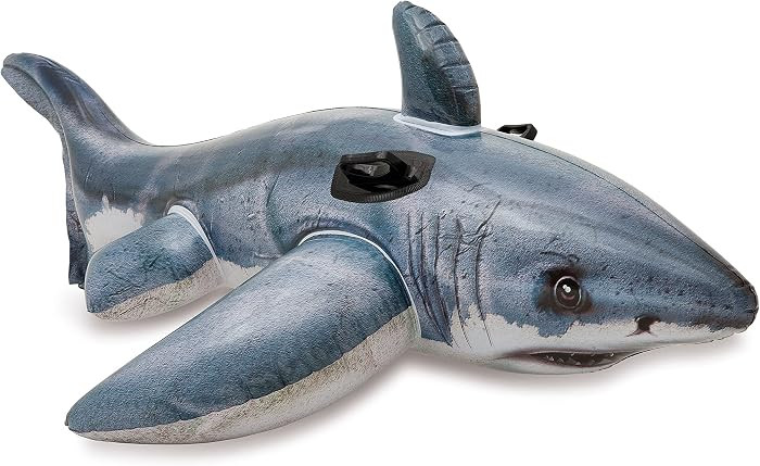 INTEX Inflatable Pool Float: Pool Toy for Kids | Amazon (US)