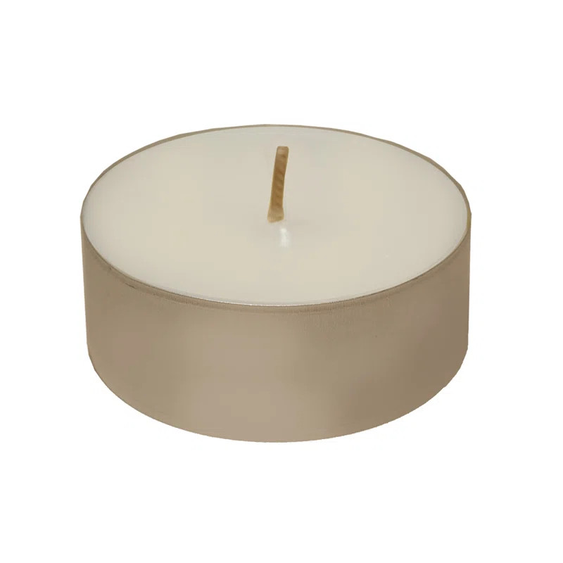 Unscented Tealight Candle | Wayfair North America