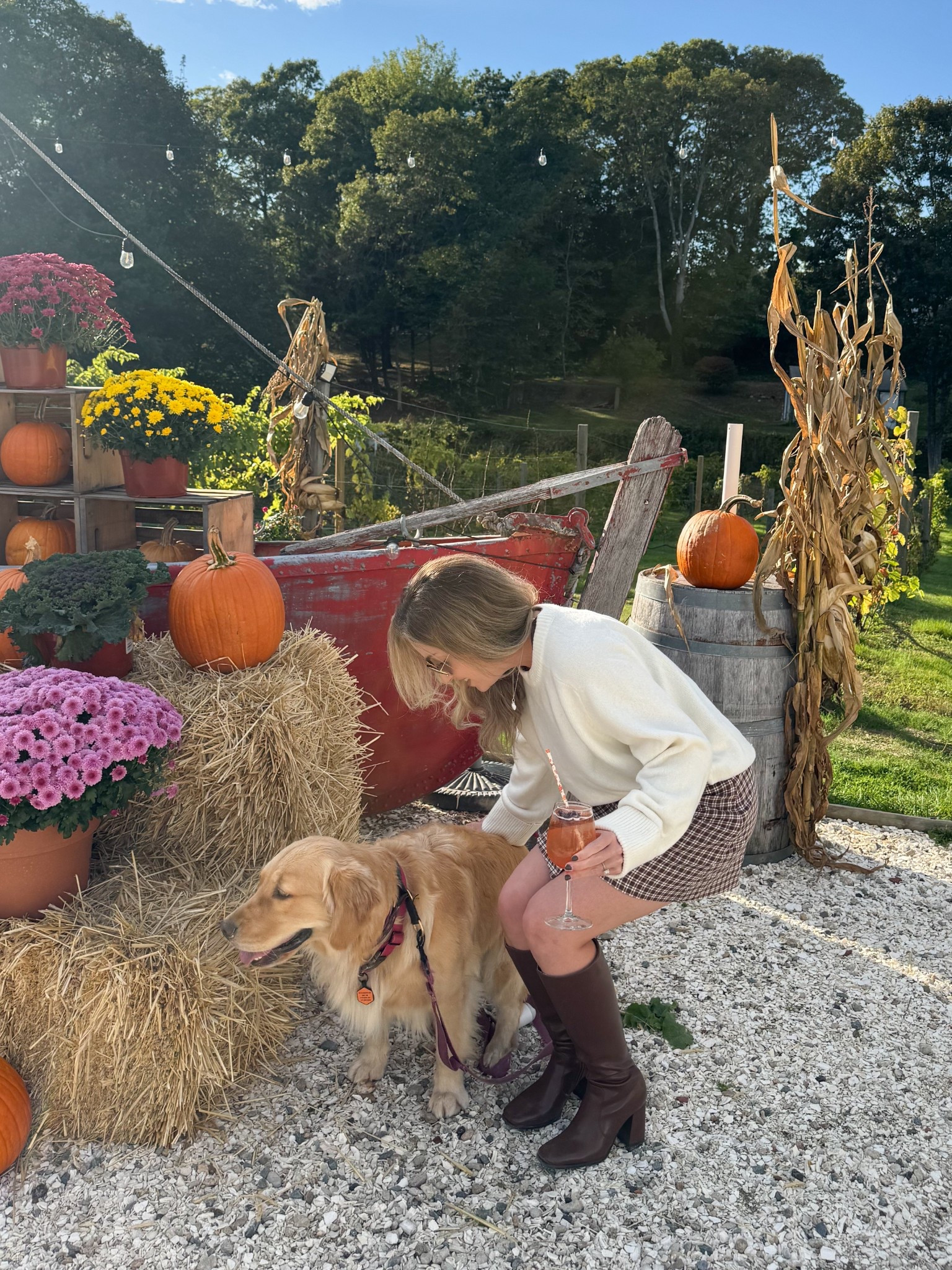 The perfect summer to fall transition outfit. Wore this to the winery on Cape Cod and it was perfect and cozy! 

#LTKSeasonal #LTKTravel #LTKStyleTip