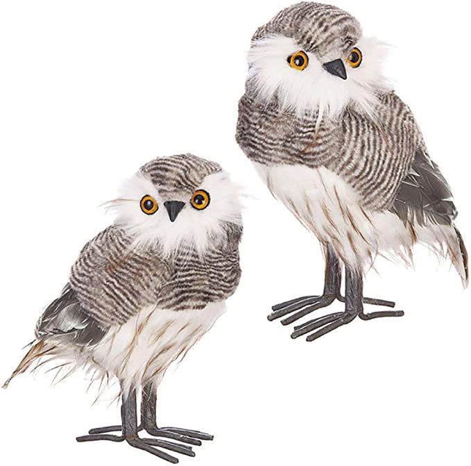 Raz Imports Cozy Knits 10" Owl, Assortment of 2 - Festive Miniature Sculpture and Holiday Home D... | Amazon (US)